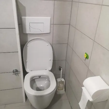 Bel Appartement, Grand Balcon Et Parking Prive Selestat Exterior photo
