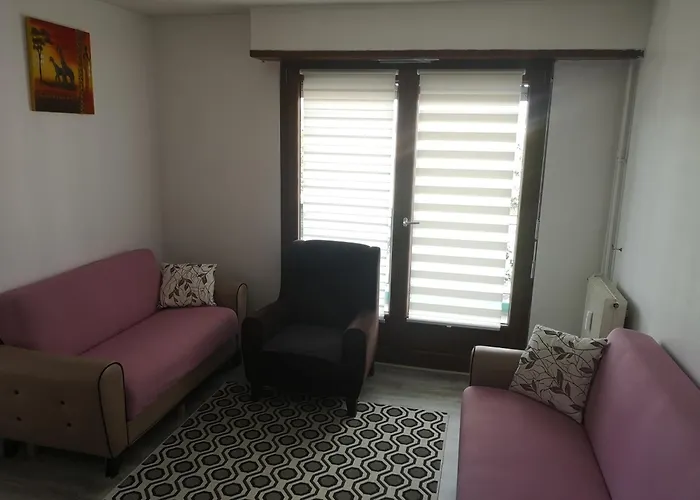 Bel Appartement, Grand Balcon Et Parking Prive