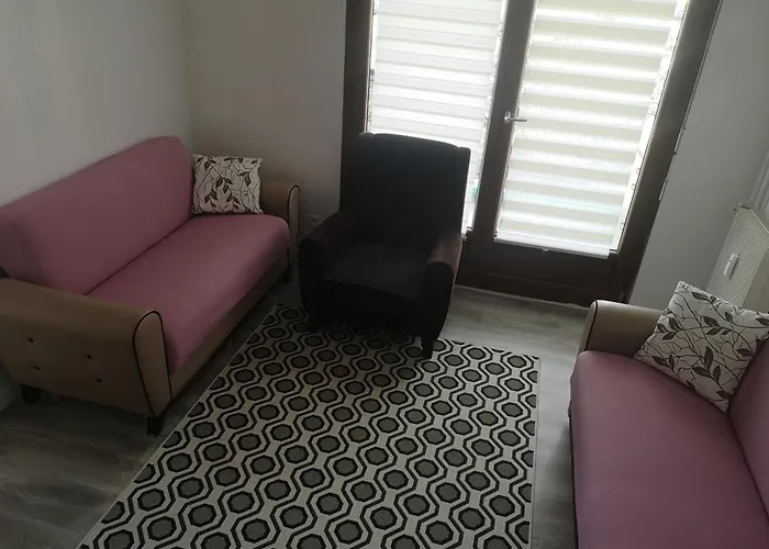 Bel Appartement, Grand Balcon Et Parking Prive