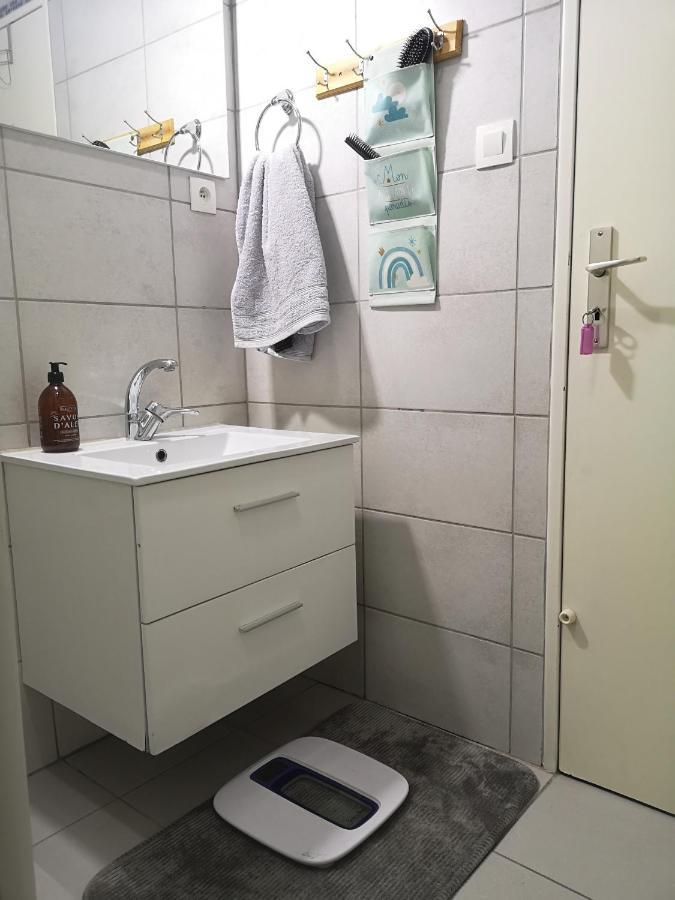 Bel Appartement, Grand Balcon Et Parking Prive * Selestat