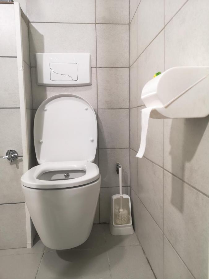 Apartment Bel Appartement, Grand Balcon Et Parking Prive Selestat