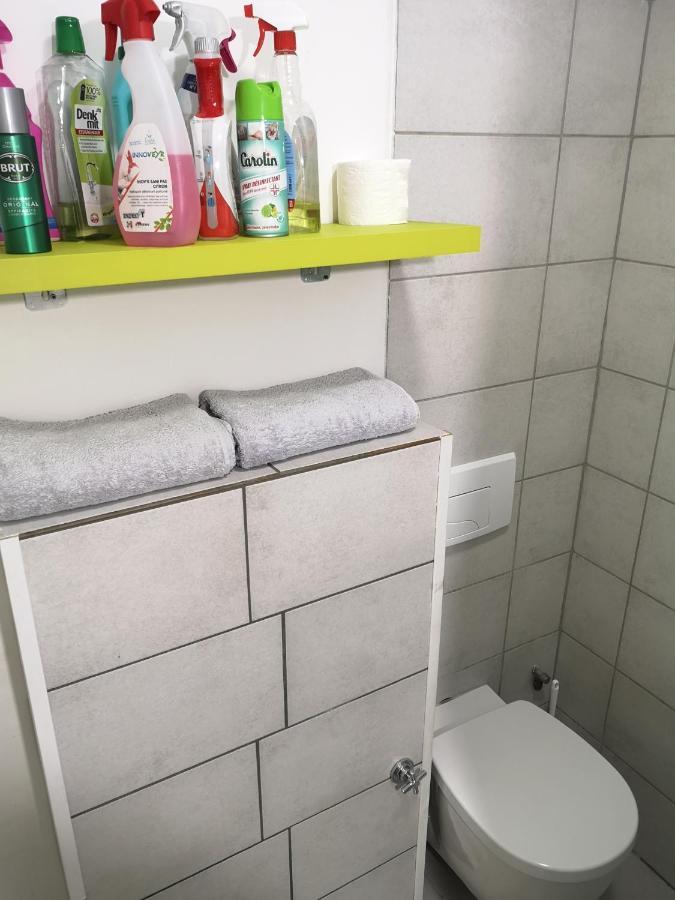 Apartment Bel Appartement, Grand Balcon Et Parking Prive Selestat