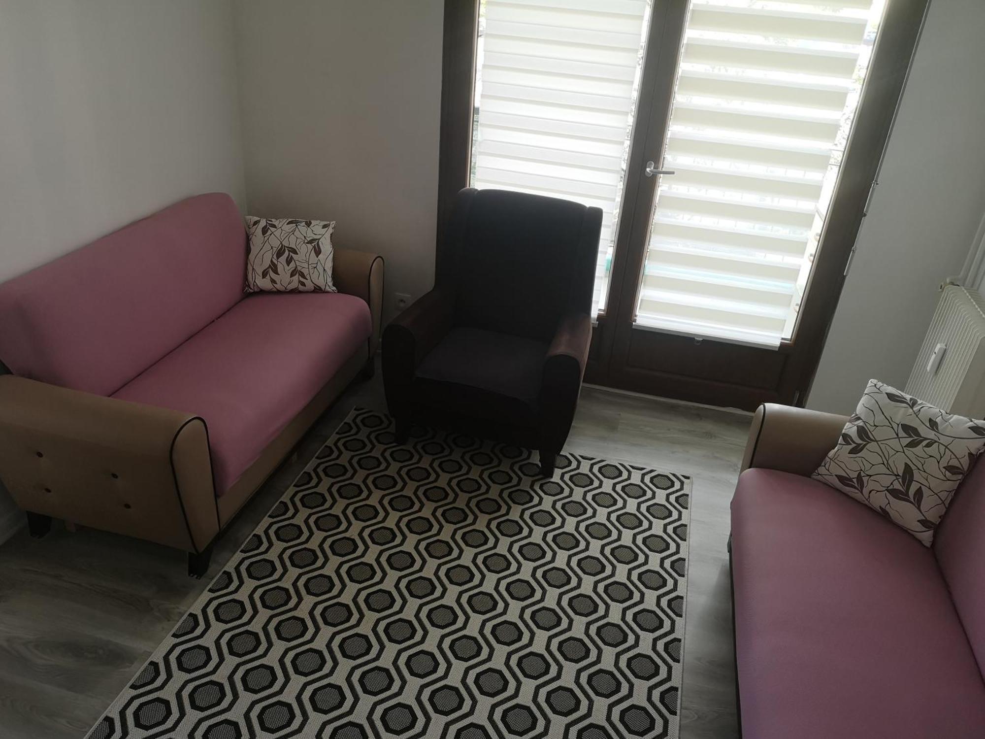 Bel Appartement, Grand Balcon Et Parking Prive Selestat